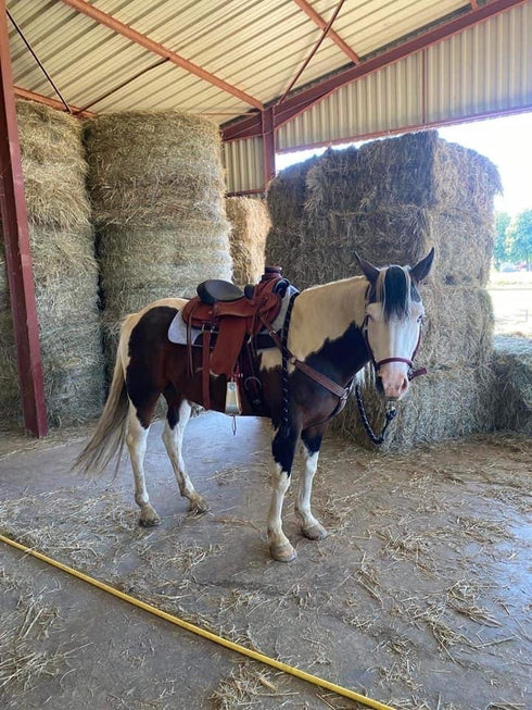 YOUR HAND-MADE CUSTOM SADDLE