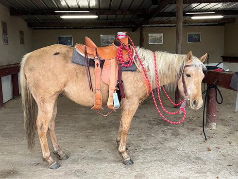 YOUR HAND-MADE CUSTOM SADDLE